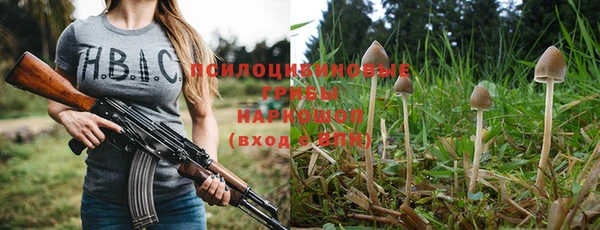 индика Армянск