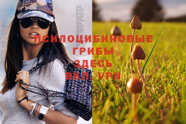 мескалин Аркадак